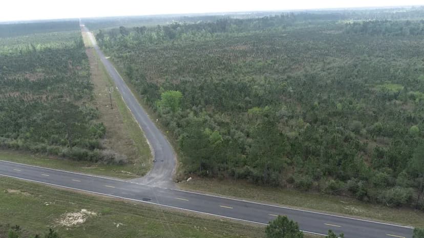 Barrow Forest Tract 1