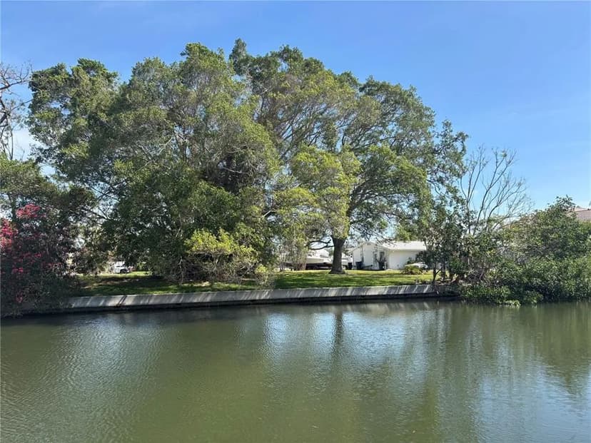 Vacant Land in Palmetto