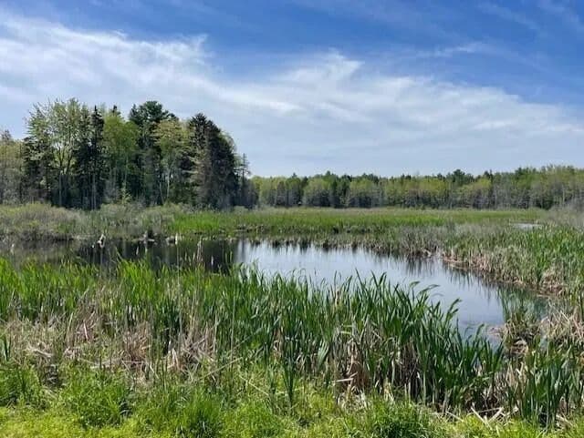 Lots & Land-Other in Warren - Warren, Maine, 04864