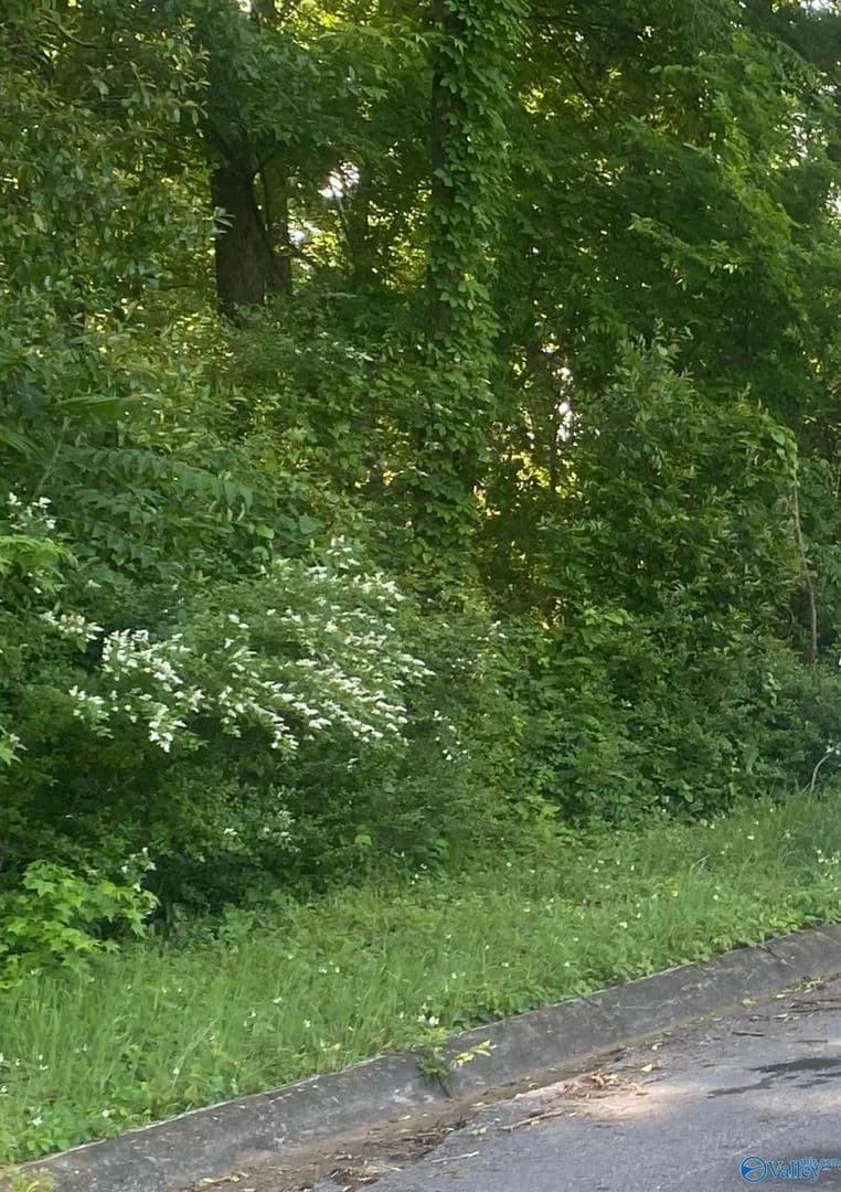 Lots & Land-Other in Florence