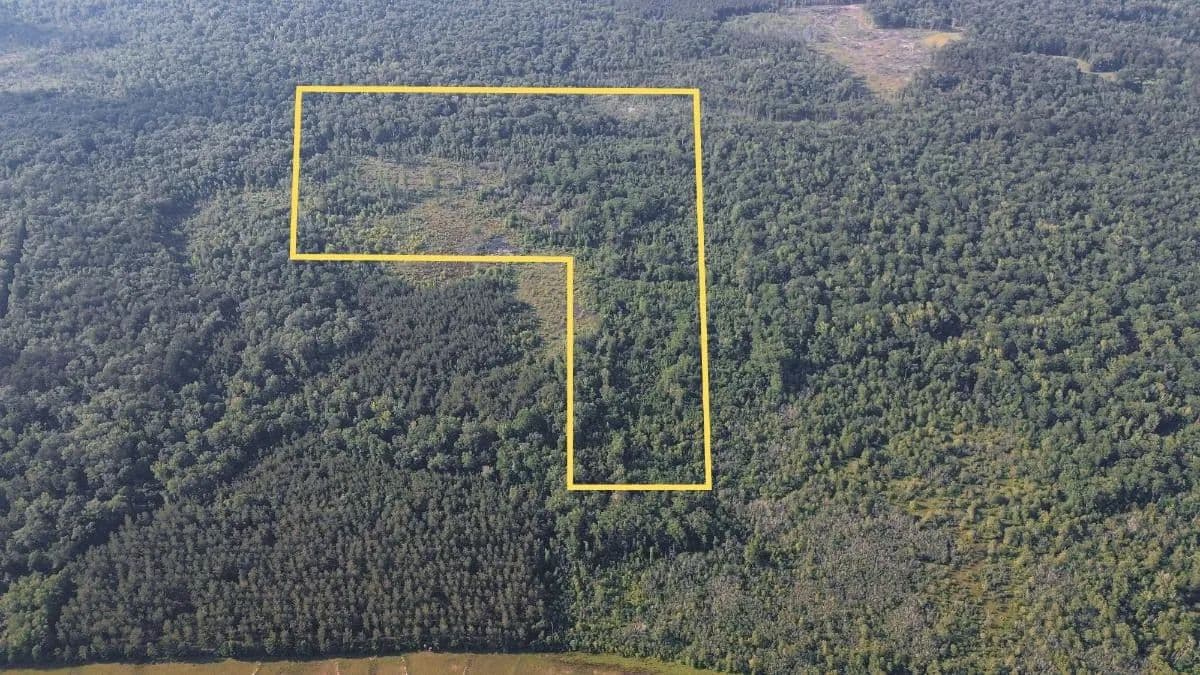 Chatham 72 – HARDWOOD TIMBER & HUNTING JACKSON PARISH LA - Chatham, Louisiana, 71226