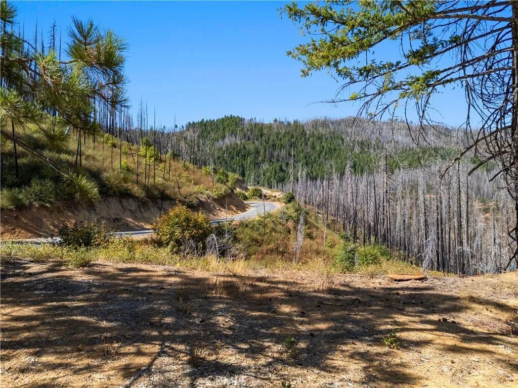 Vacant Land in Greenville - Greenville, California, 95947