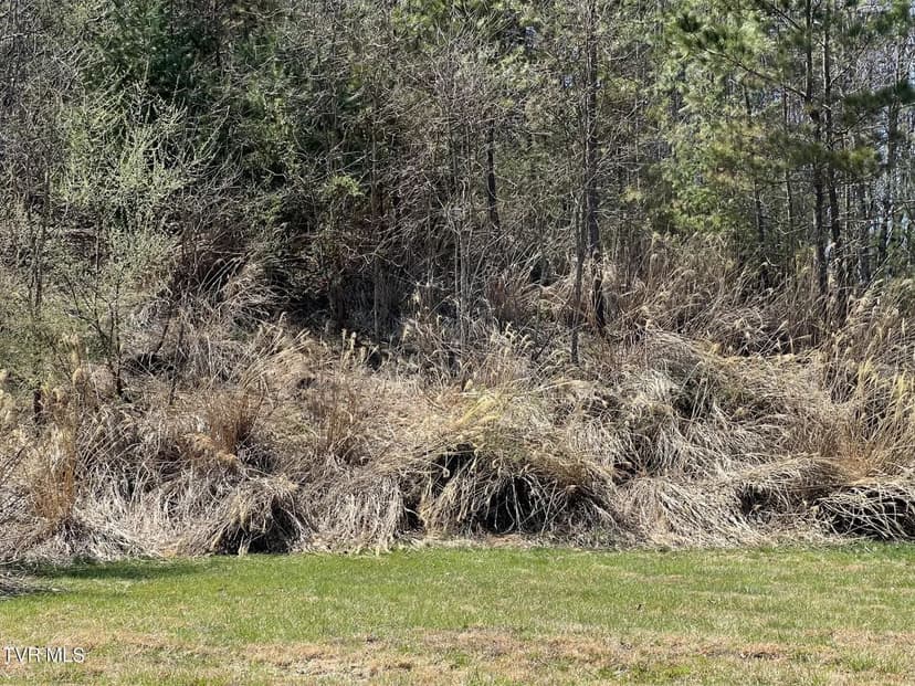 Lots & Land-Other in Clintwood