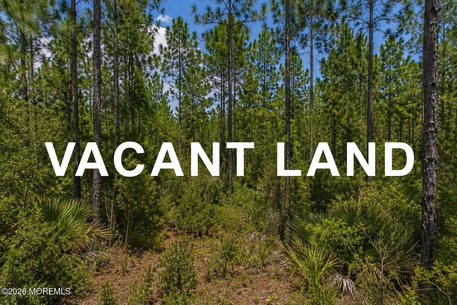 Vacant Land in Little Egg Harbor - New Jersey, 08087