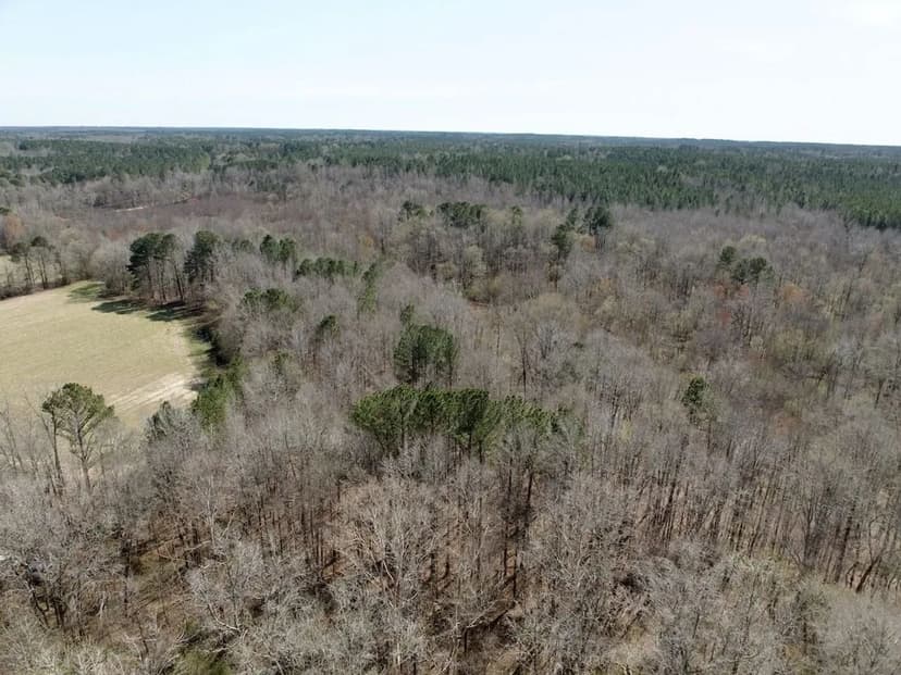14.67 Acres of Recreational Land For Sale in Granville County NC!