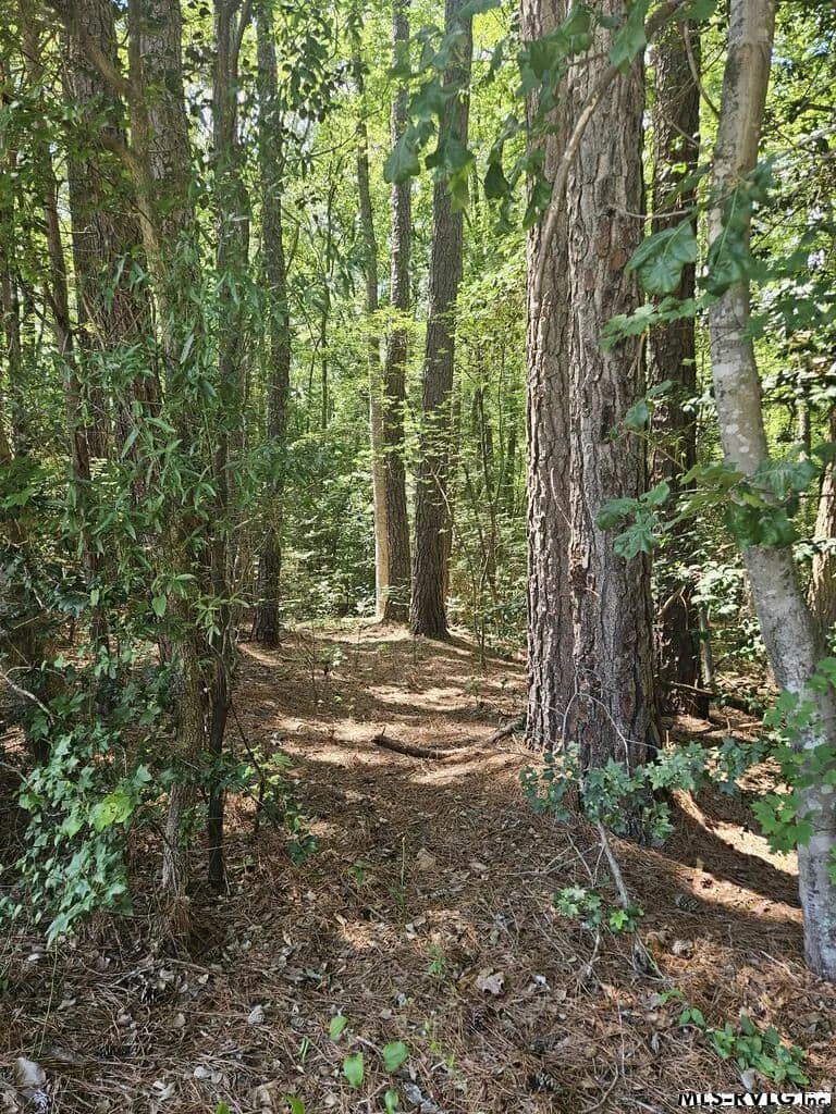 Vacant Land in Macon - Macon, North Carolina, 27551