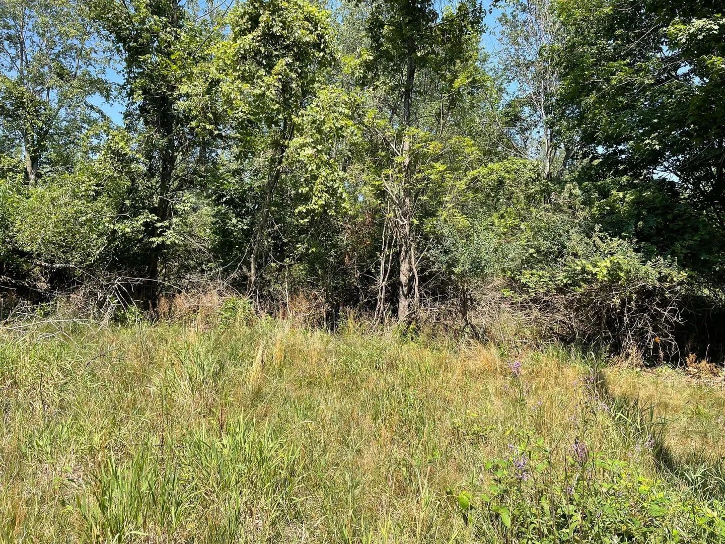 Vacant Land in Fennville - Fennville, Michigan, 49408