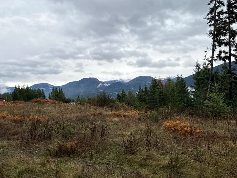 6 acres in Packwood!