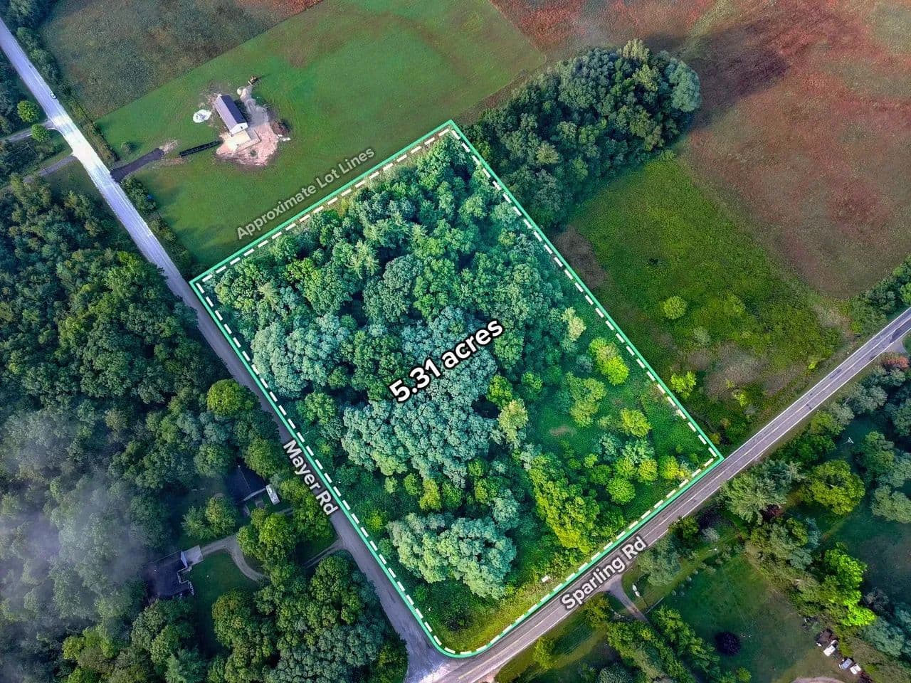5.31+/- Wooded Vacant Lot St. Clair County MI - Goodells, Michigan, 48027