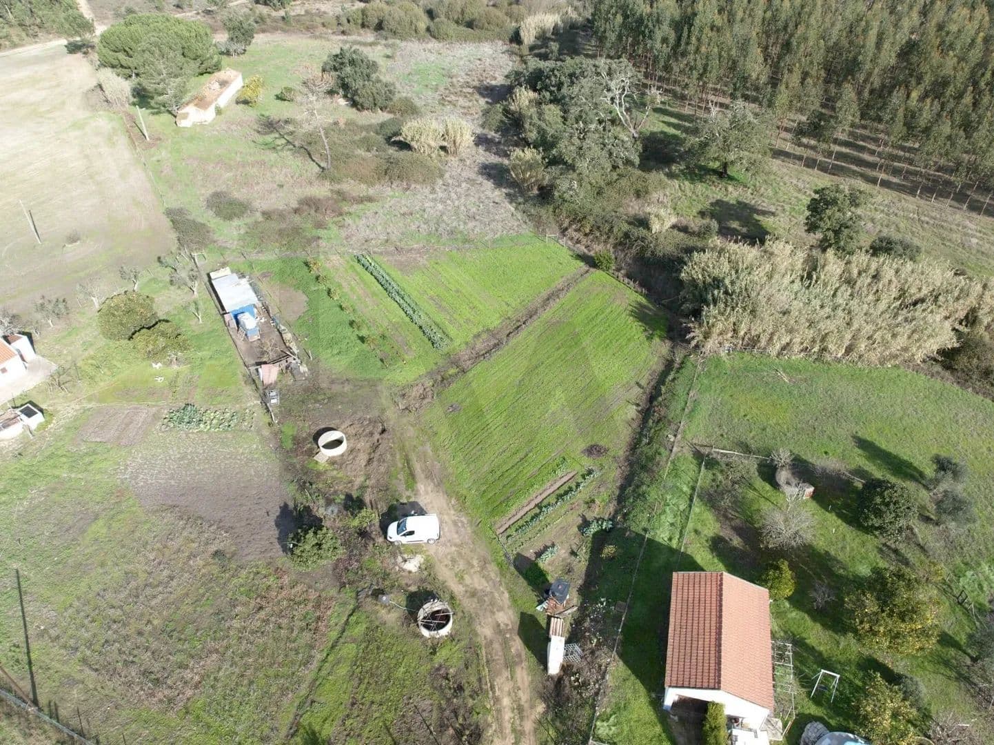 3000 Acres of Land for Sale in São Domingos e Vale de Água, Santiago do Cacém - land for sale