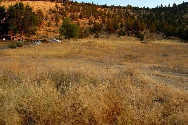Vacant Land in Prineville