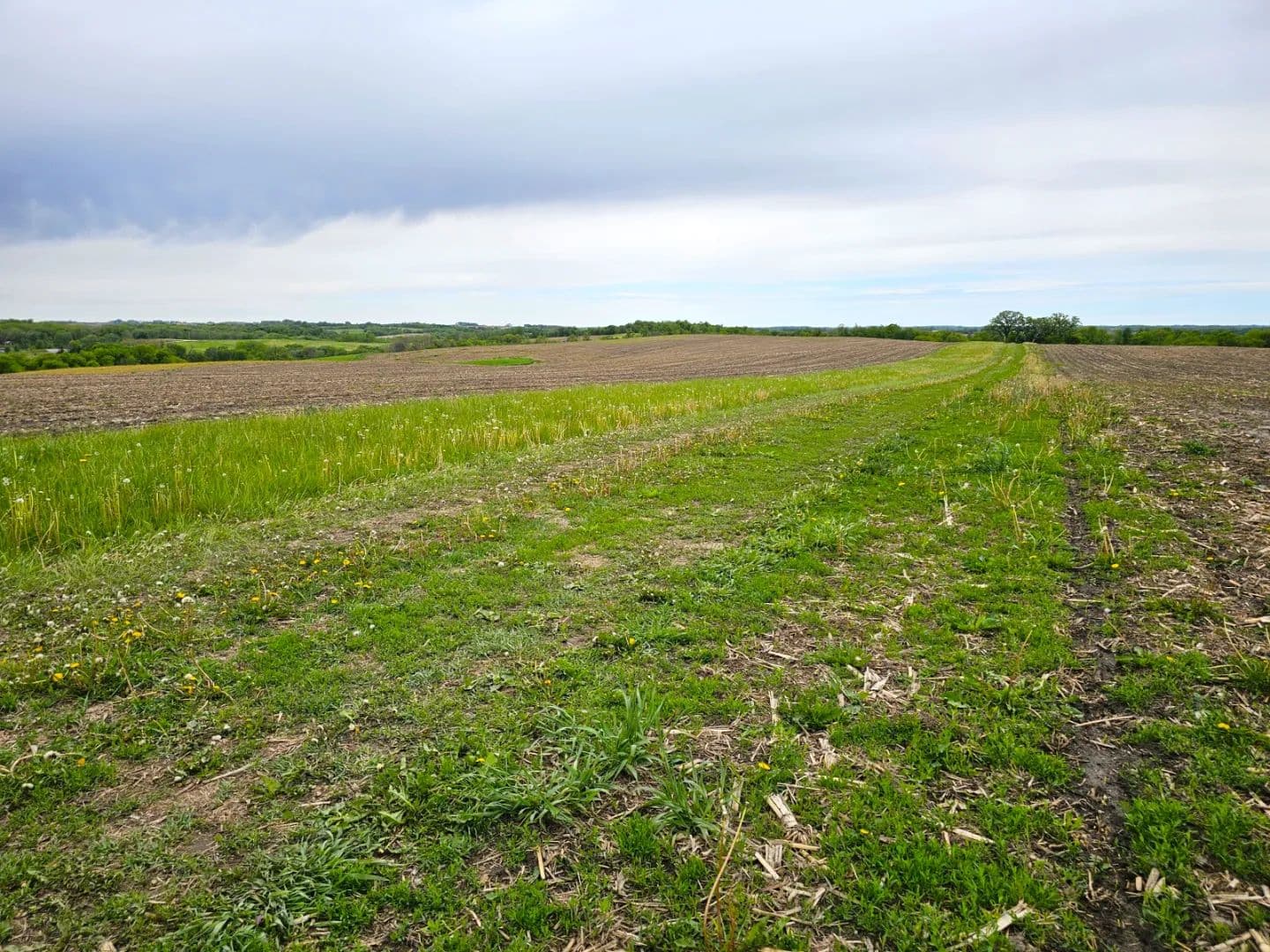 260+/- Acres Winneshiek County, IA - Decorah, Iowa, 52101