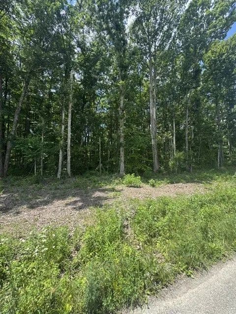 10.42 Acres of Land for Sale in Crawford, TN - land for sale