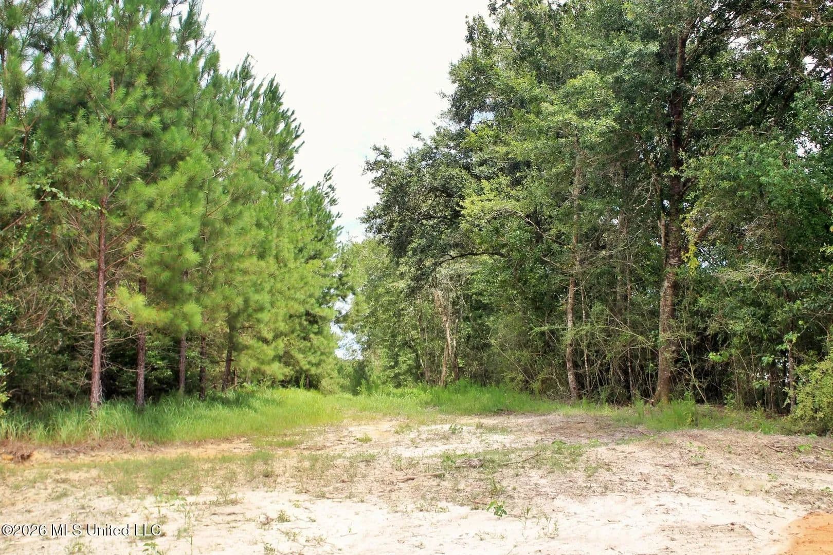 Lots & Land-Other in Lucedale - Lucedale, Mississippi, 39452