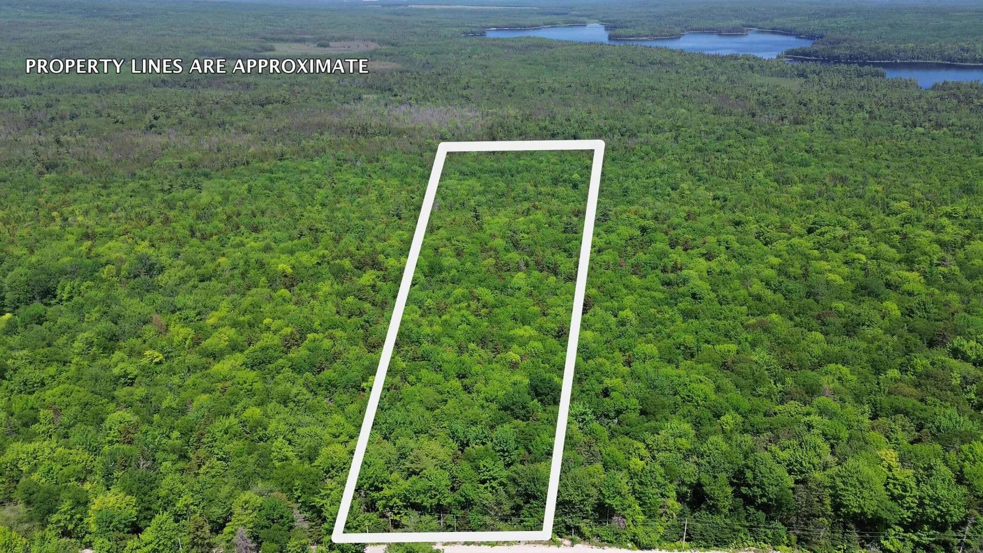 Land -Single Family Acreage in Franklin - Franklin, Maine, 04634