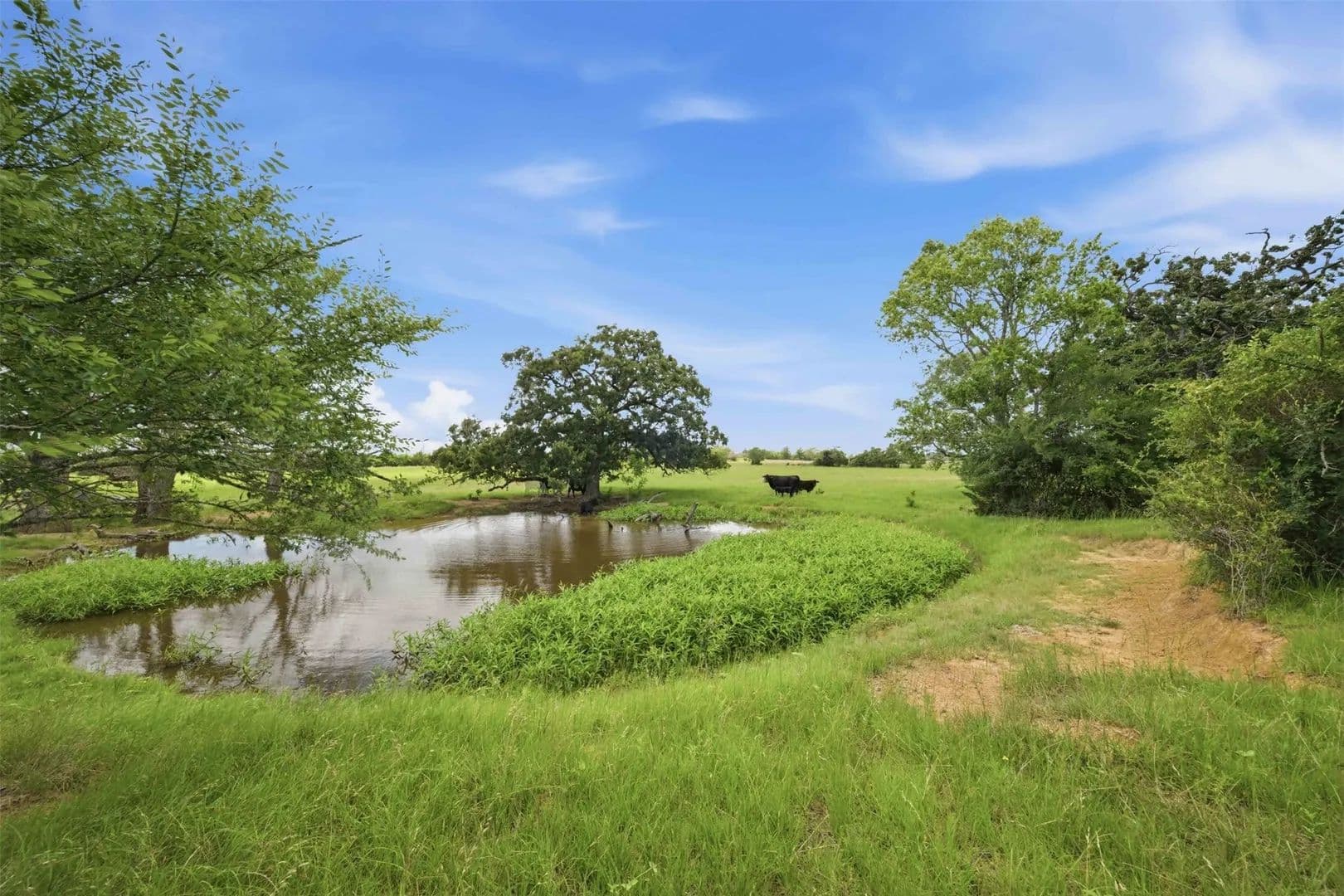 15.27 Acres of Land for Sale in Franklin, TX - Franklin, Texas, 77856