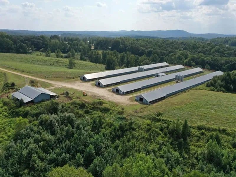 Hunt Broiler Farm – Four House Farm in Cleburne County, Alabama - Ranburne, Alabama, 36273