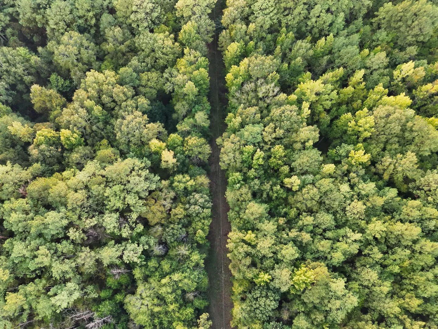 37.4 Acres in Attala County, MS  - Sallis, Mississippi, 39160