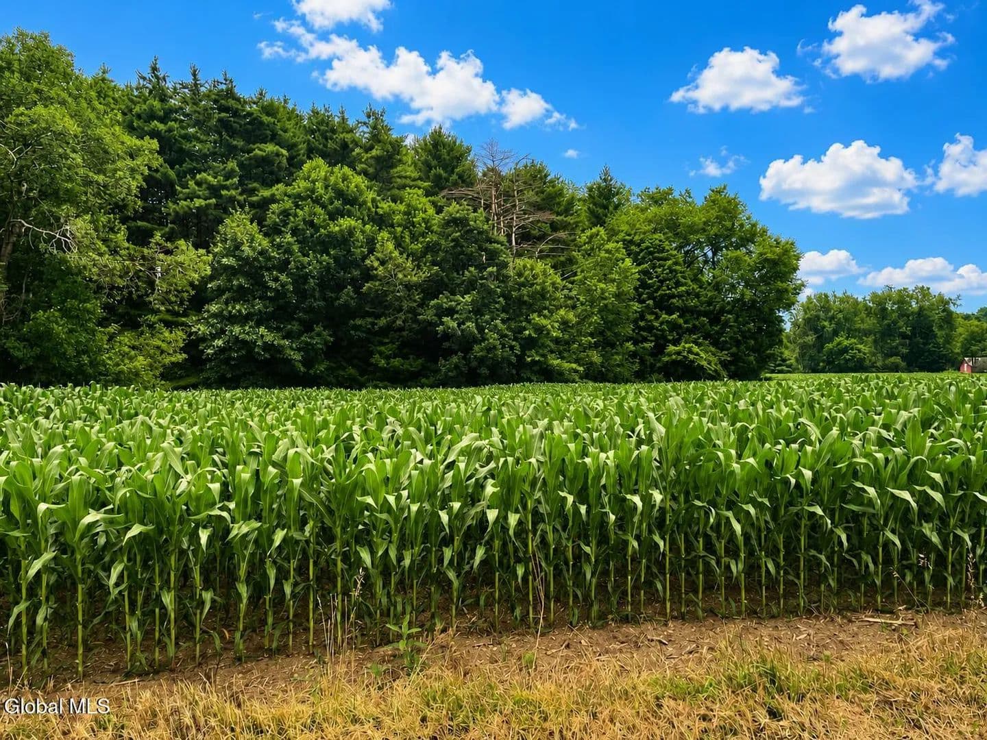 3.1 Acres of Land for Sale in Jackson, NY - Jackson, New York, 12865