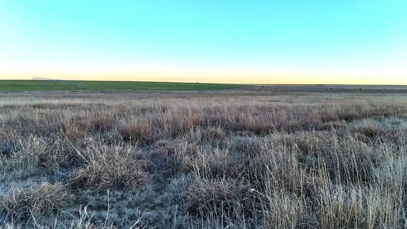 CRP with Little Bear Creek Frontage