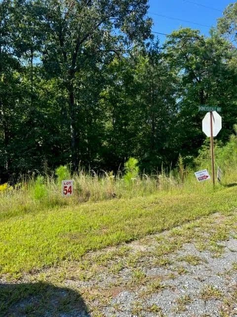 Lots & Land-Other in Ellijay - Ellijay, Georgia, 30540