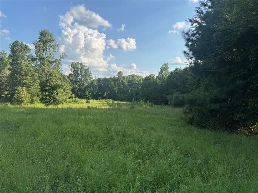 Vacant Land in Alpharetta