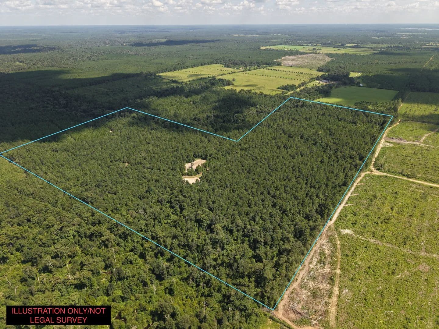 Land -Agricultural (Not Zoned) in Deridder - Deridder, Louisiana, 70634