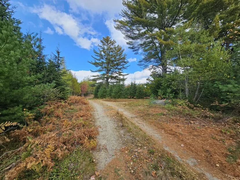 Land -Industrial in Franklin