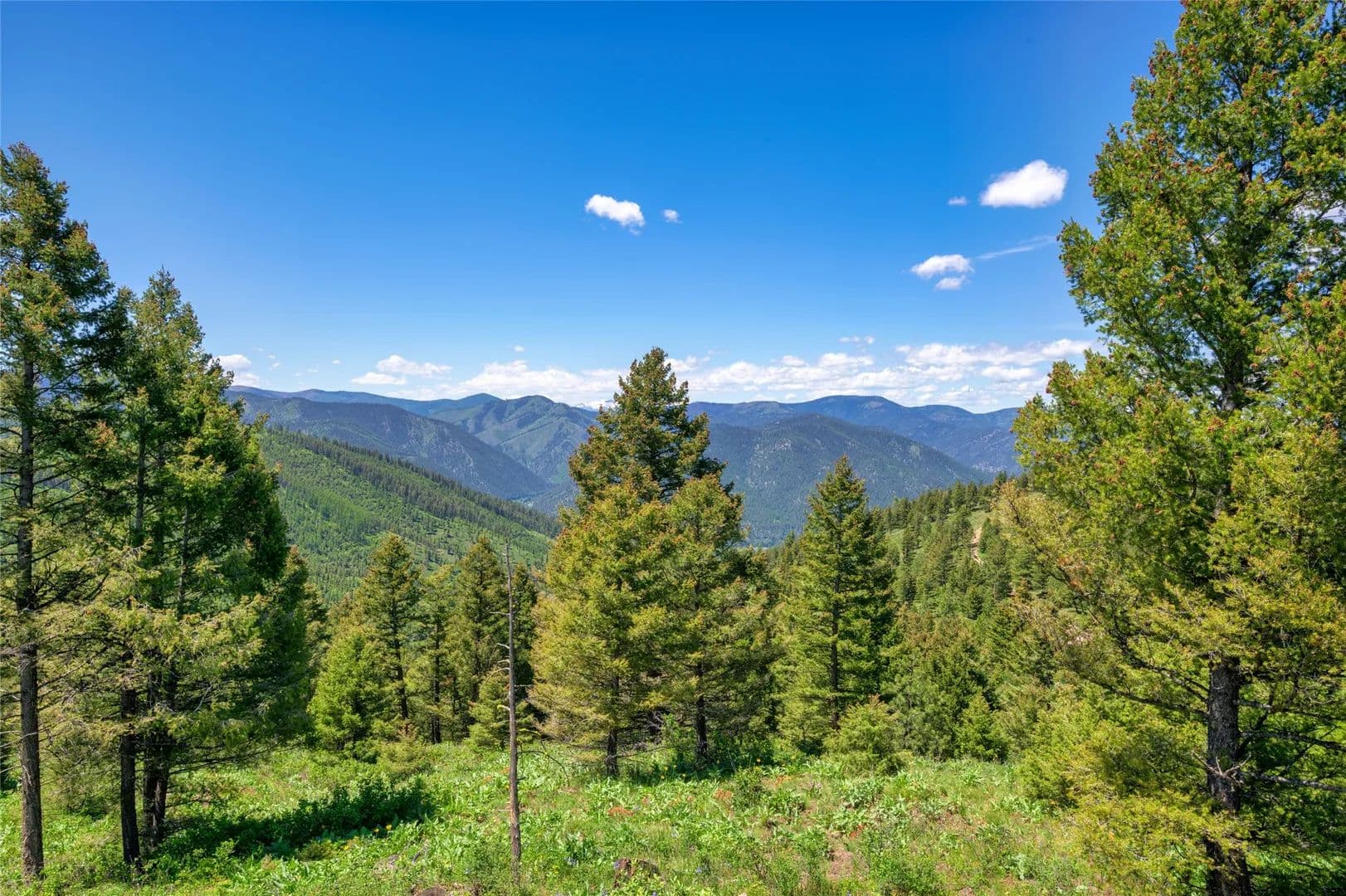 Property from 25575 Patter Spur Road - KW - Clinton, Montana, 59825