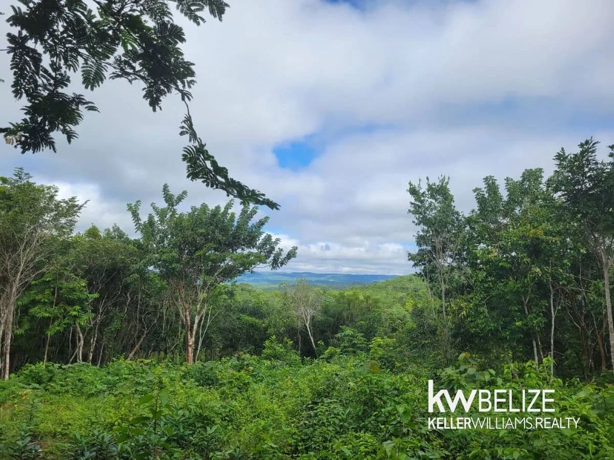 7 BEAUTIFUL ACRES IN CALLA CREEK - land for sale