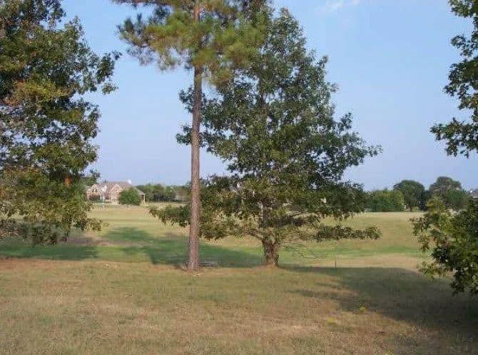 Lots & Land-Other in Montgomery - Montgomery, Texas, 77356