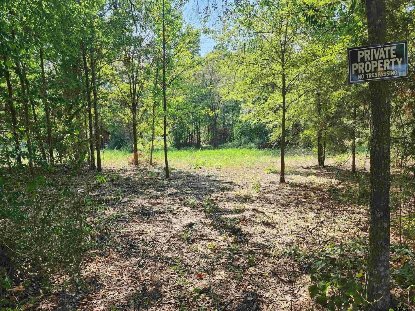 Lots & Land-Other in Pittsburg - Pittsburg, Texas, 75686