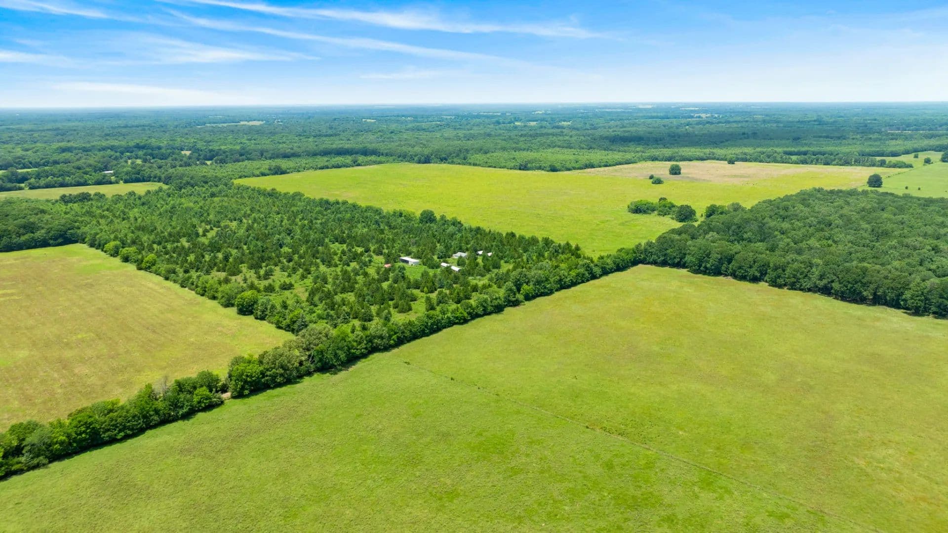 243± Acres of Prime Texas Farmland | Red River County, Texas - Clarksville, Texas, 75426