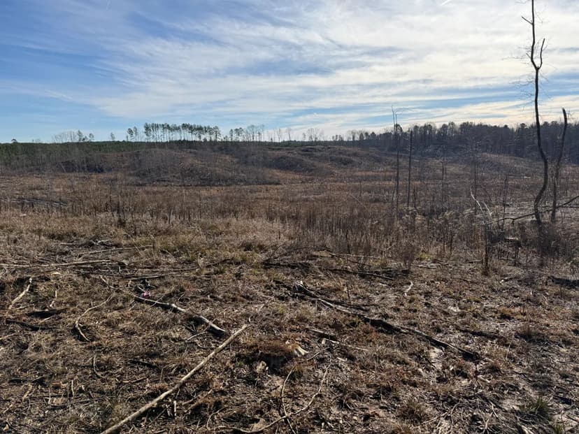 24.1 Acres in Prentiss County, MS 