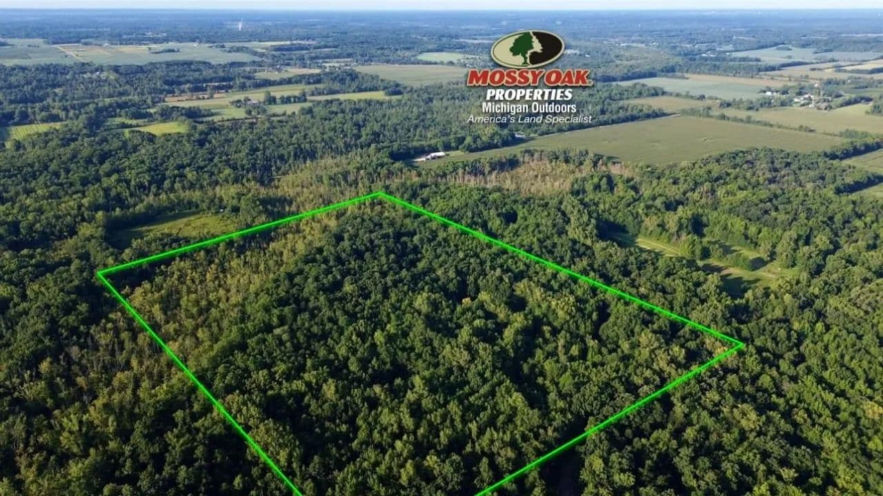 40 +/- Acres / Van Buren County, MI / Recreational, Hunting, Buildable Land / Land For Sale - Lawrence, Michigan, 49064