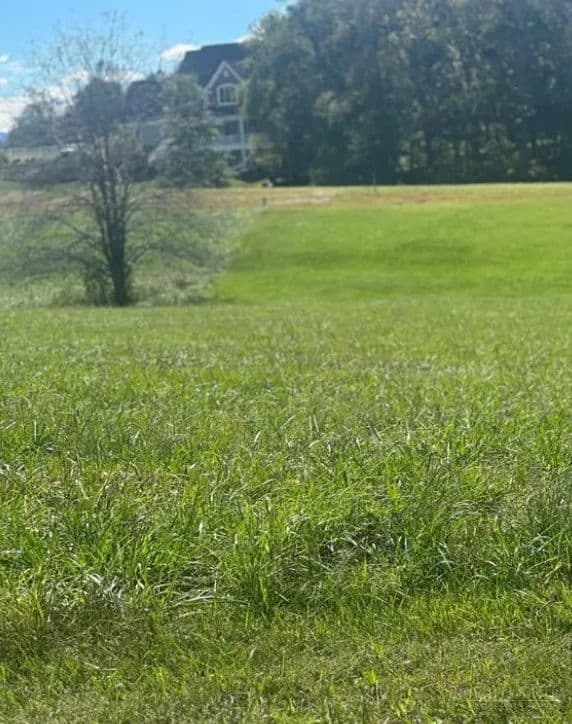 Vacant Land in North Wilkesboro - North Wilkesboro, North Carolina, 28659
