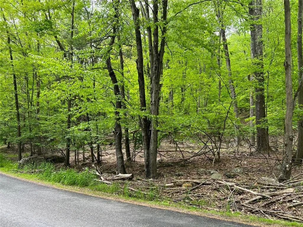 Vacant Land in Lake Ariel - Lake Ariel, Pennsylvania, 18436
