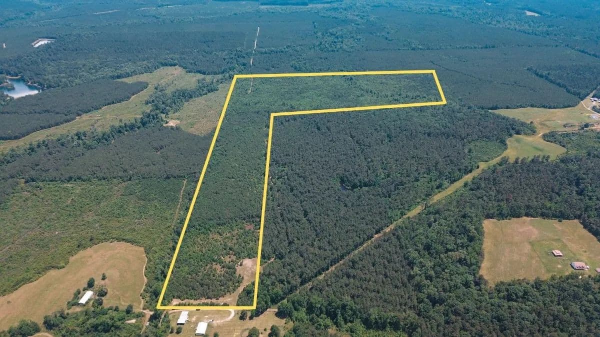 Weston 112 – Timber & Hunting Land in Jackson Parish, LA - Weston, Louisiana, 71251