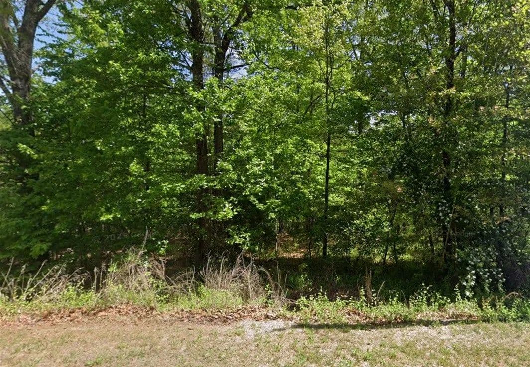Lots & Land-Other in Bella Vista - Bella Vista, Arkansas, 72715