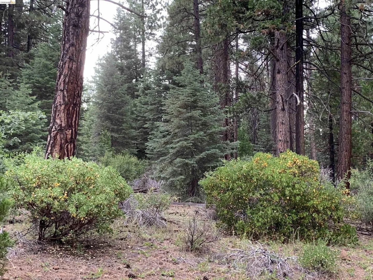 Lots & Land-Other in Nubieber - Nubieber, California, 96068