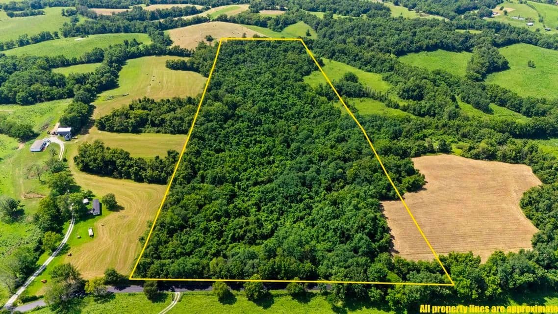 Lots & Land-Other in Paris - Paris, Kentucky, 40361