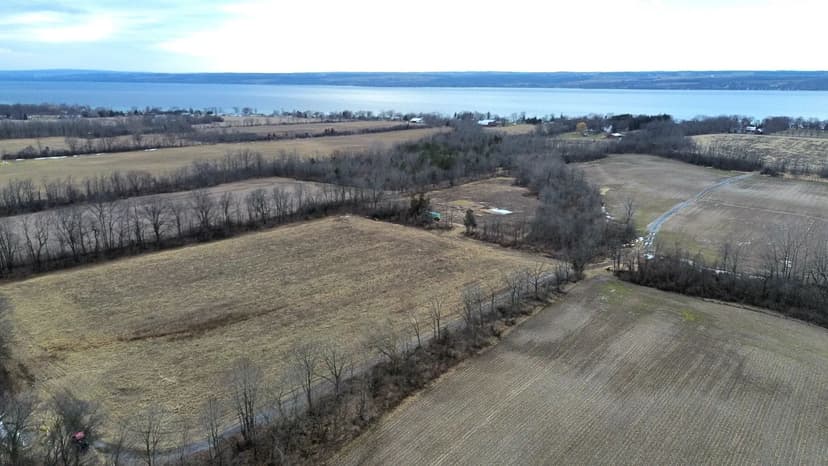 90 acres Farm Fields and Distant Seneca Lake Views in Seneca County Varick NY East Lake Rd in the Finger Lakes Region