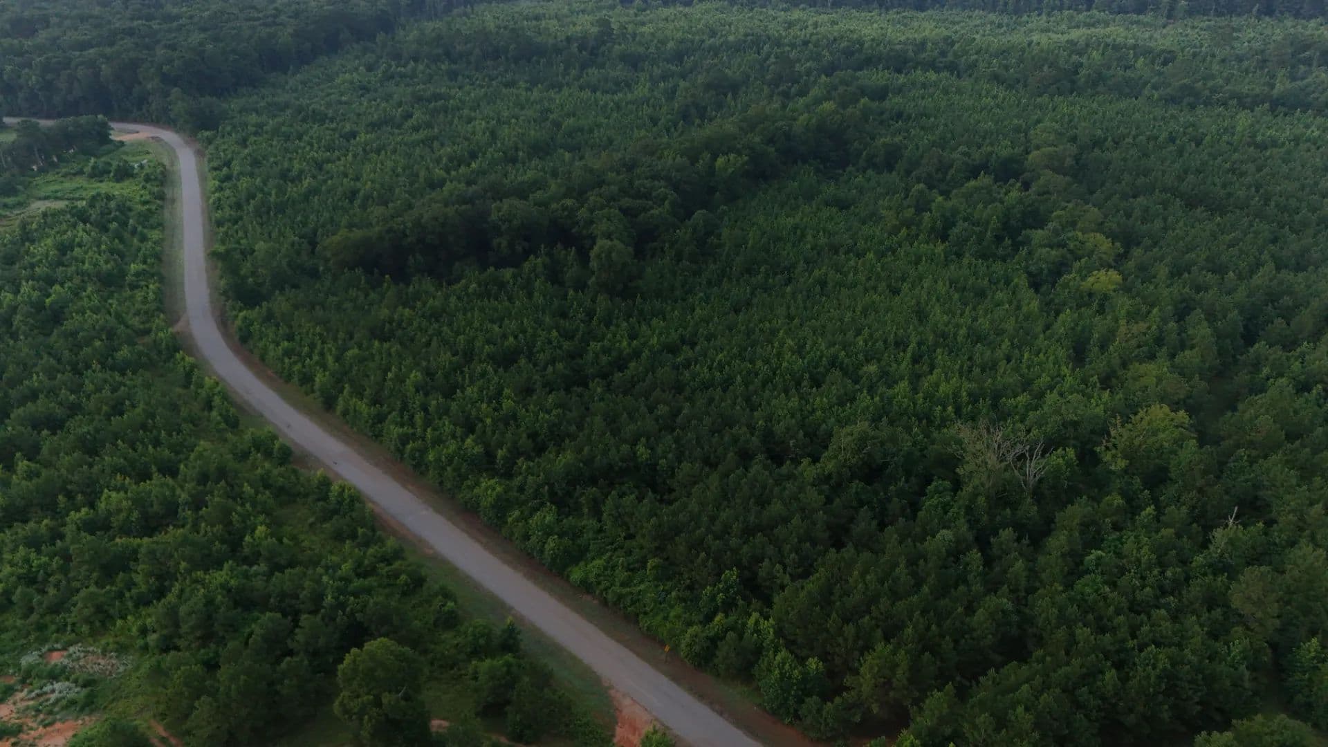 62 Acres in Lincoln Parish, LA - Dubach, Louisiana, 71235