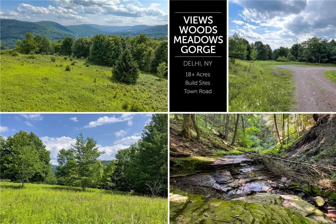 18.94 Acres of Land for Sale in Delhi, NY - Delhi, New York, 13753