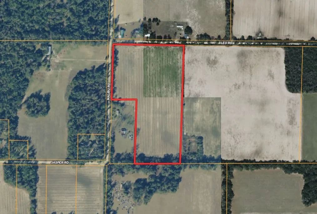 19± Acres in Bascom, FL – Ideal Homesite or Hobby Farm - Bascom, Florida, 32423