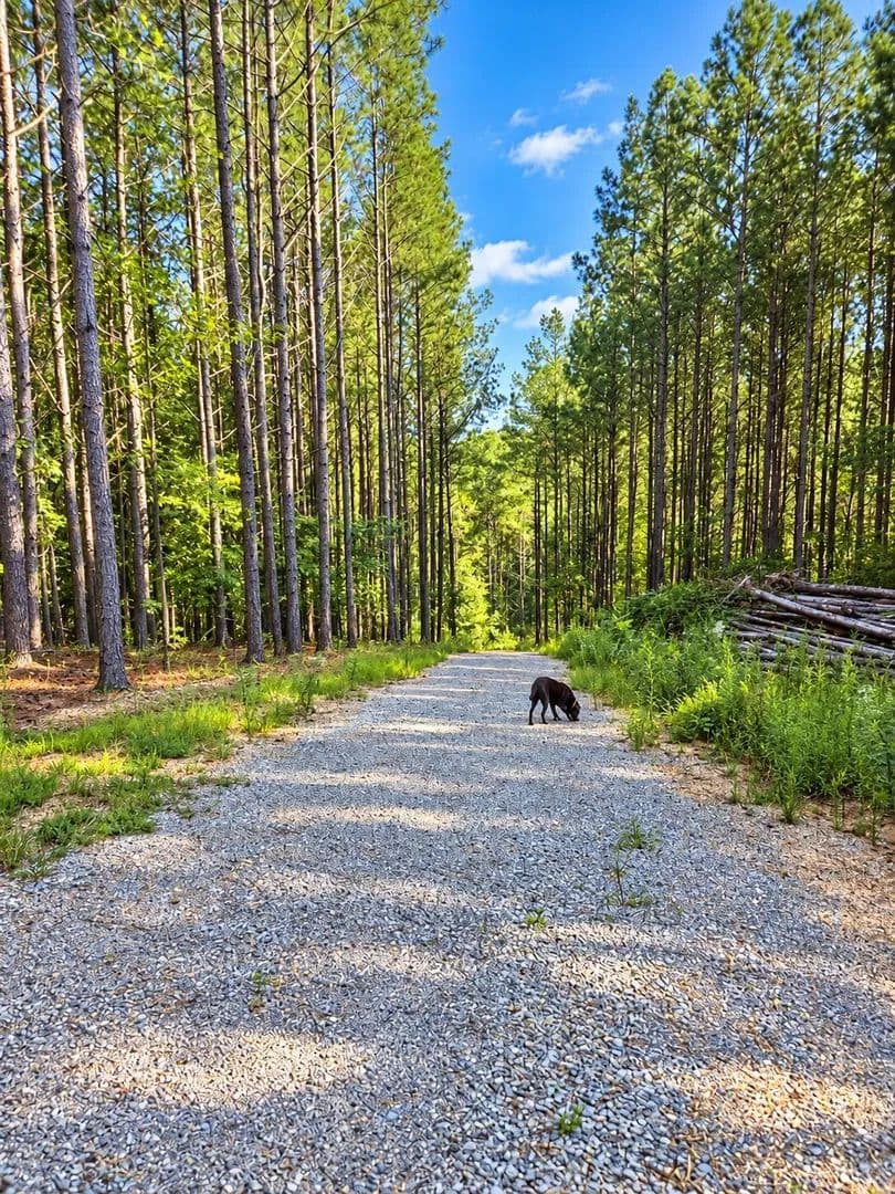 11.18 Acres of Land for Sale in Loudon, TN - Loudon, Tennessee, 37774