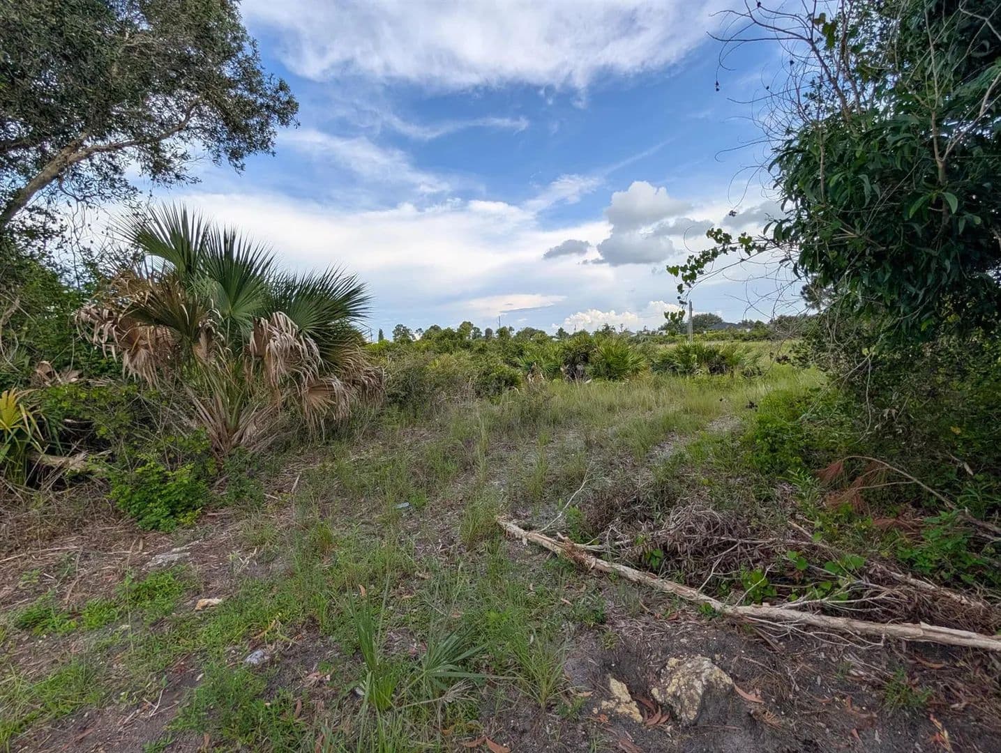 Land -Agricultural (Not Zoned) in Lehigh Acres - Lehigh Acres, Florida, 33971