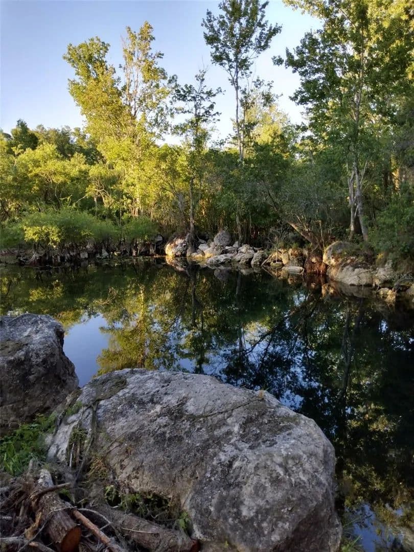 6.04 Acres of Land for Sale in FLORAL CITY, FL - Floral City, Florida, 34436