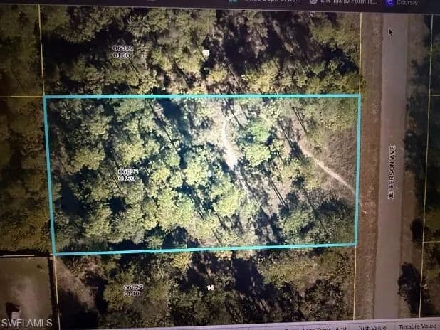 Vacant Land in Lehigh Acres - Lehigh Acres, Florida, 33972