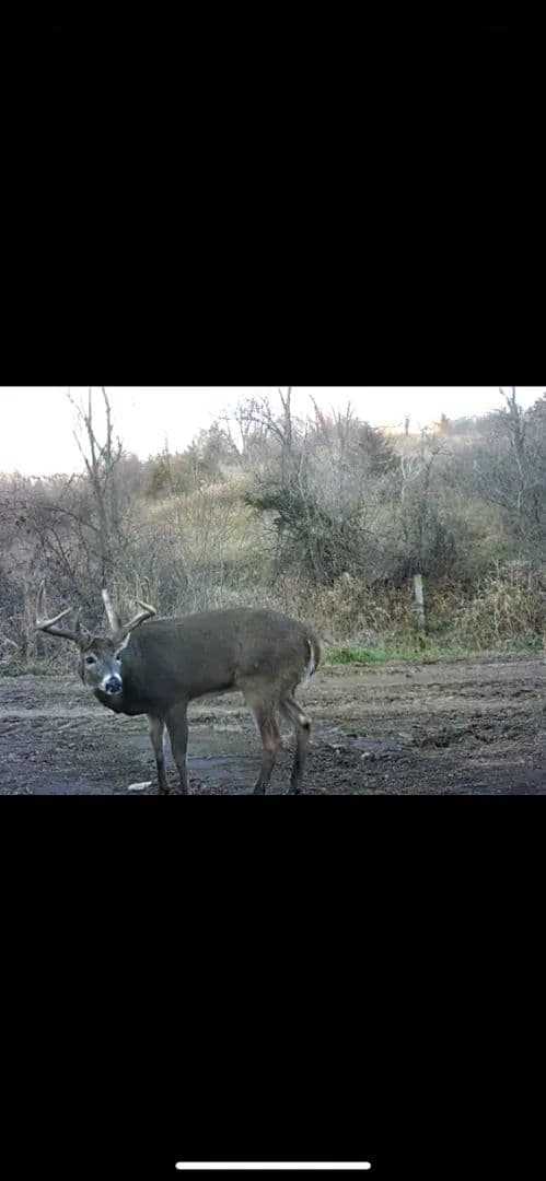 248+/- Acre Income-Producing Farm, Cattle Ranch & Hunting Estate in Richland County, Wisconsin - Richland Center, Wisconsin, 53581